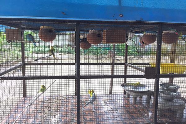 narmadeshwar mahadev mandir