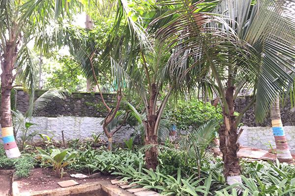 narmadeshwar mahadev mandir