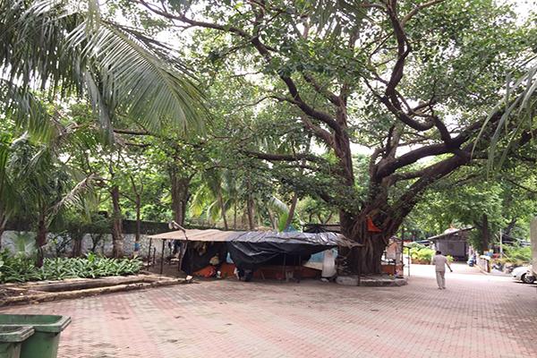narmadeshwar mahadev mandir