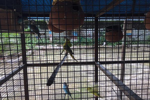 narmadeshwar mahadev mandir